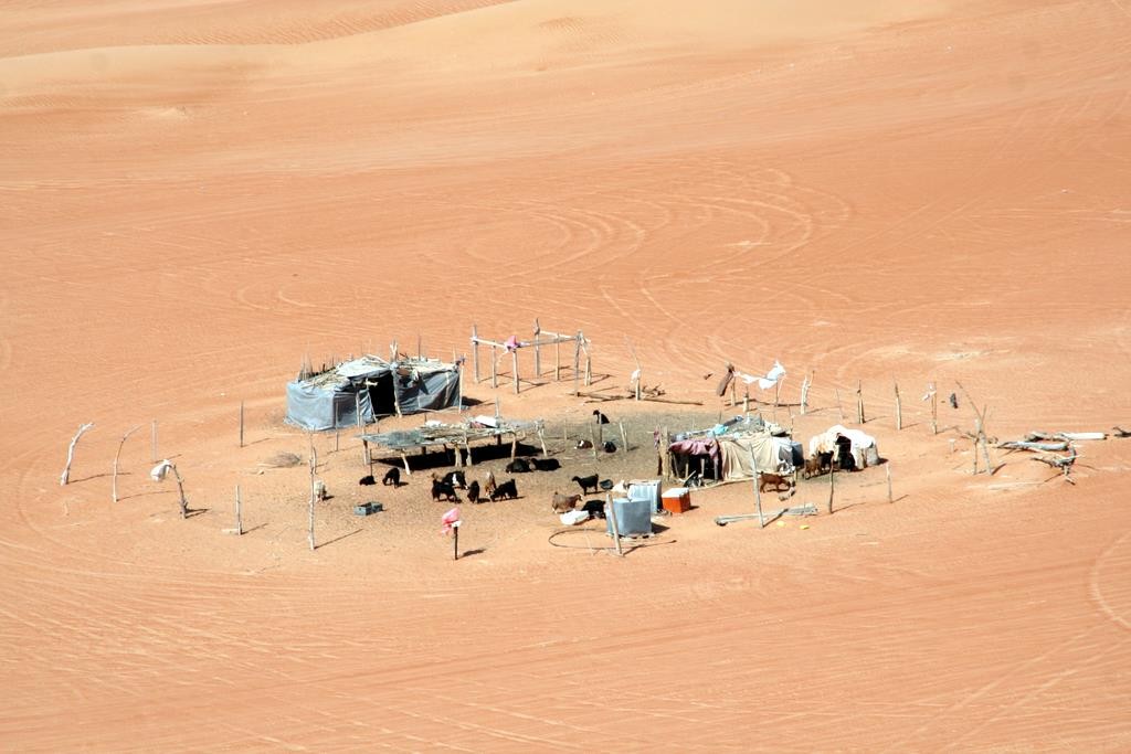 A bedouin settlement in the desert.